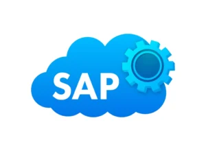 ¿Cuánto Tarda Implementar SAP en una PyME?