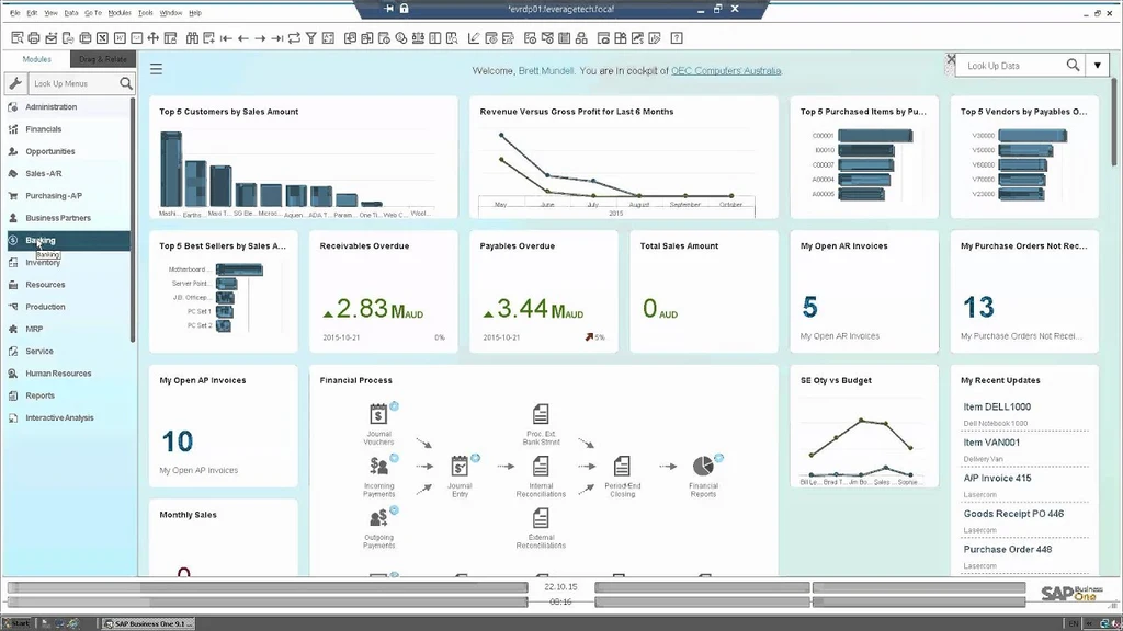 ¿Qué es SAP Business One para PyMEs Ticas?